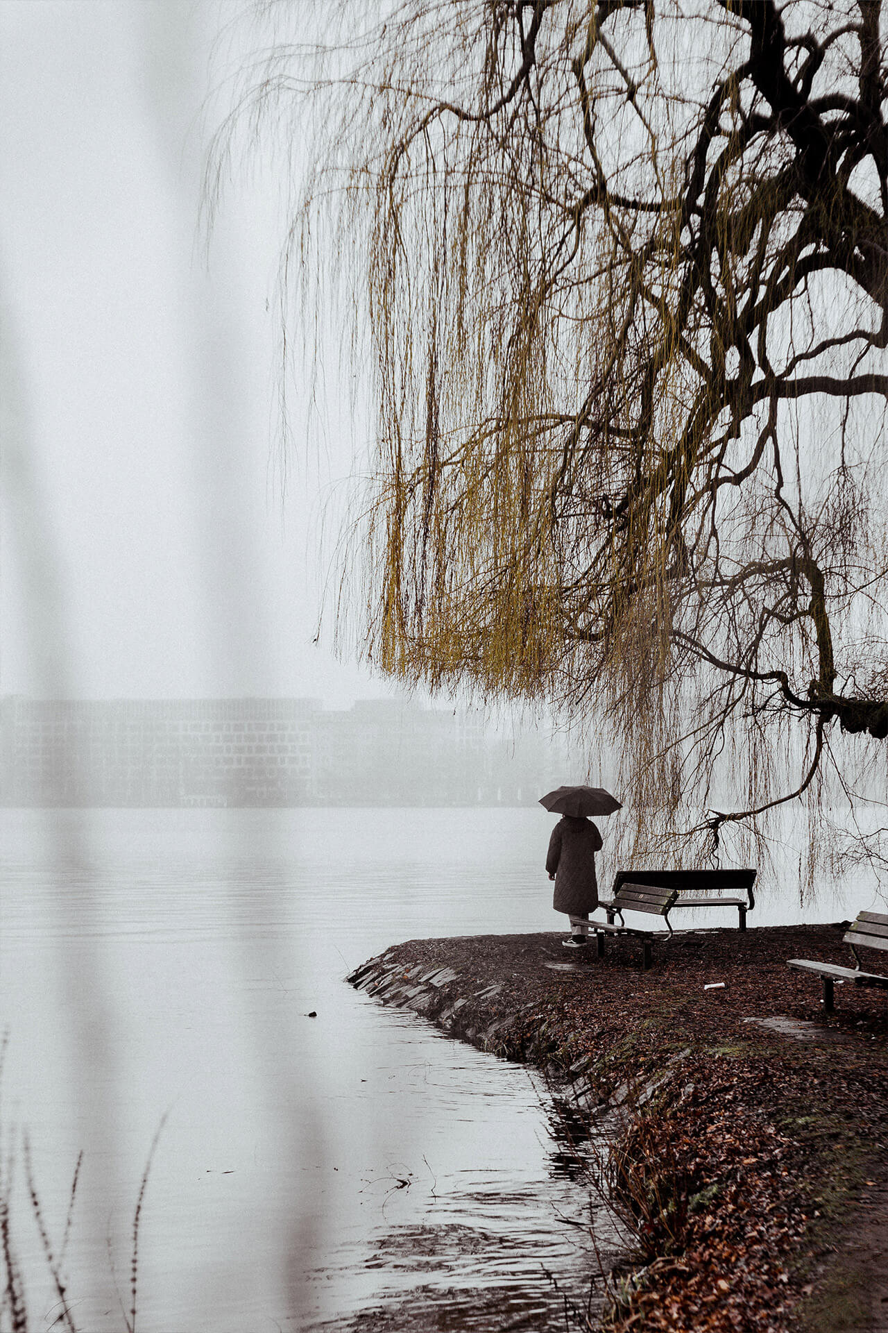 img-lw-photo-sarah-alster-moody-1280×1920-tiny