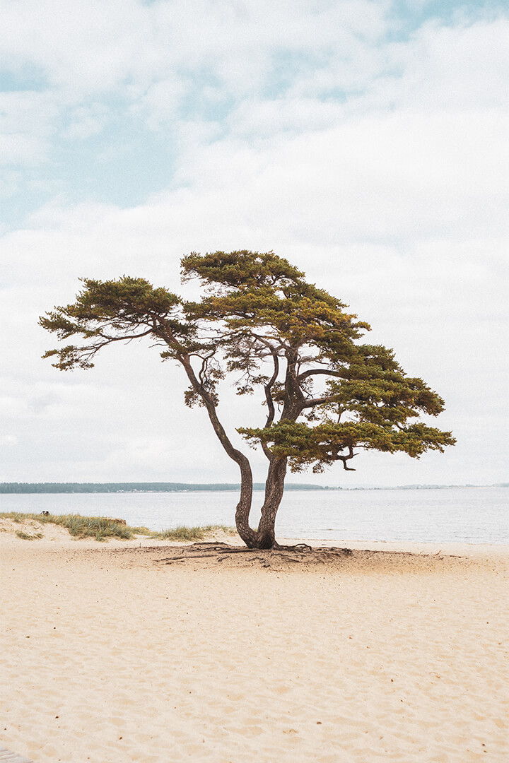 img-lw-schweden-720×1080-tiny